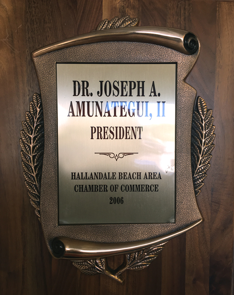 Joseph Amunategui - President, Hallandale Beach Chamber of Commerce 2006